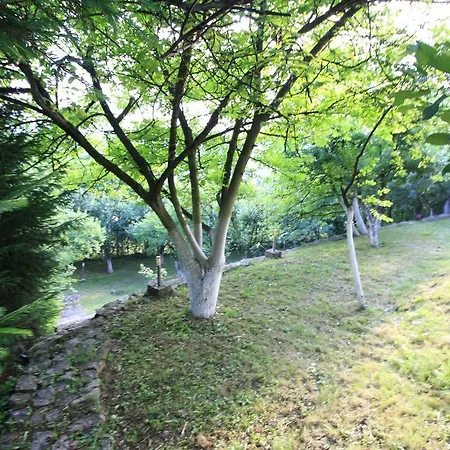 빌라 Hill Heaven